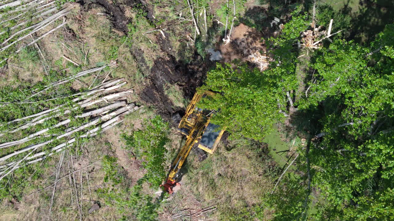 Aerial view showing a harvester machine operating in a deforested area. The clip captures the cutting and gathering of trees, showcasing the forest management process from a bird’s-eye perspective.