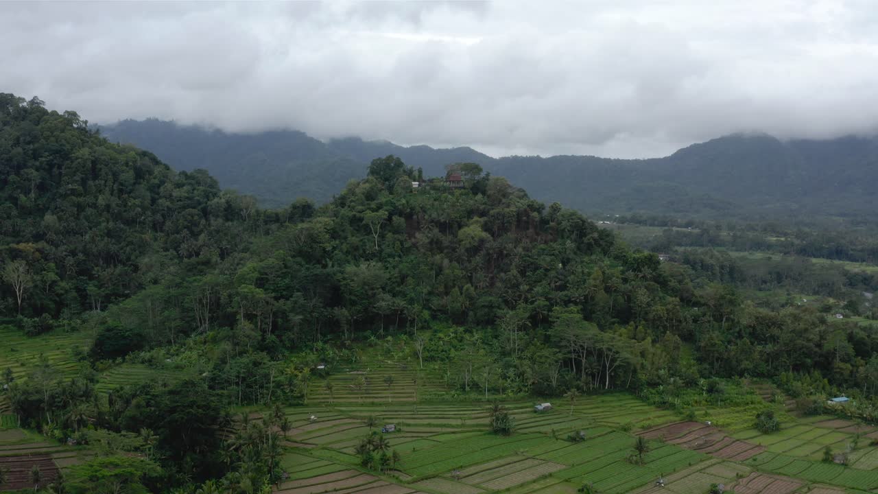 amplia antena delantera de campos de arroz y colinas verdes en indonesia nublada