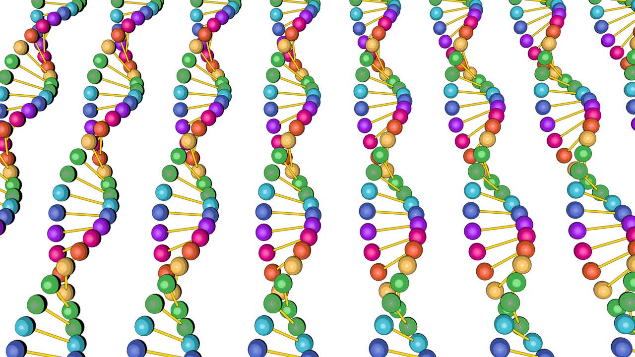 백색 바탕에 분리된 dna 분석의 컬러 시각화, 3d 회전 애니메이션, 몬태지 및 의료 훈련