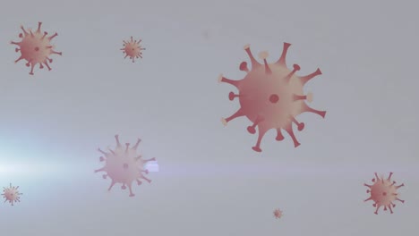 animation of virus cells on white background