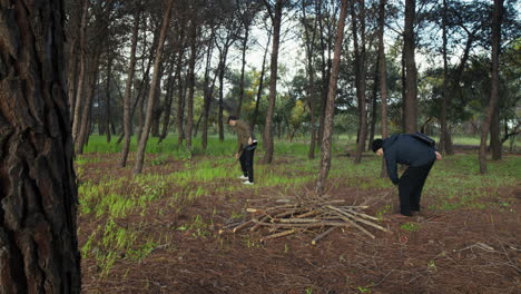 elderly dad and son collect sticks in the forest as a hobby