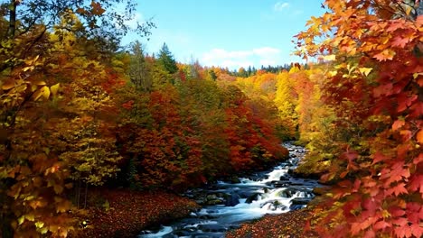 beautiful autumn forest scene with a flowing stream