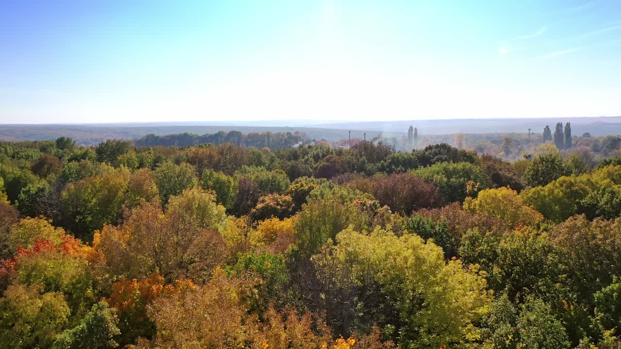 Colored forest in autumn. Aerial view of forest during calm autumn day