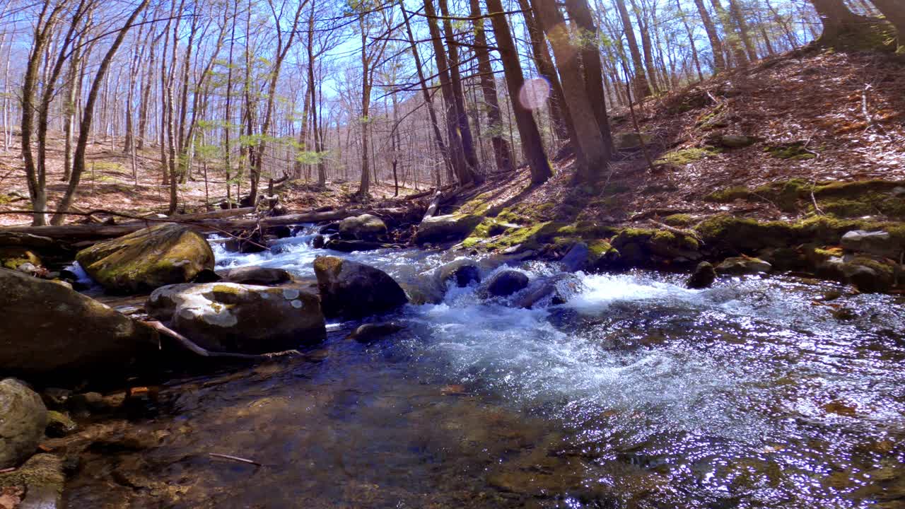  A beautiful, fresh woodland stream during early spring, after snow melt, in the Appalachian mountains