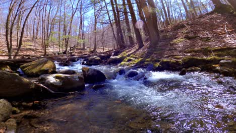 Ein-Wunderschöner,-Frischer-Waldbach-Im-Zeitigen-Frühjahr,-Nach-Der-Schneeschmelze,-In-Den-Appalachen