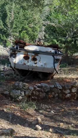 abandoned vehicle in a forest