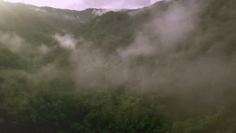 vista aérea volando sobre la exuberante montaña verde de la selva tropical con nubes de lluvia durante la temporada de lluvias en el parque nacional reservado de la montaña doi phuka en el norte de tailandia