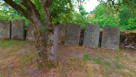 Lielstraupe-Medieval-Castle-in-the-Village-of-Straupe-in-Vidzeme,-in-Northern-Latvia