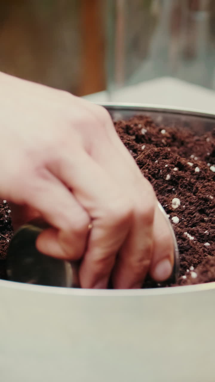 Scavare a mano e compattare il terreno in un vaso per piantare
