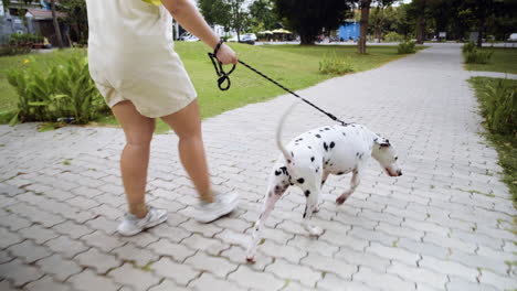 frau geht mit dem hund spazieren