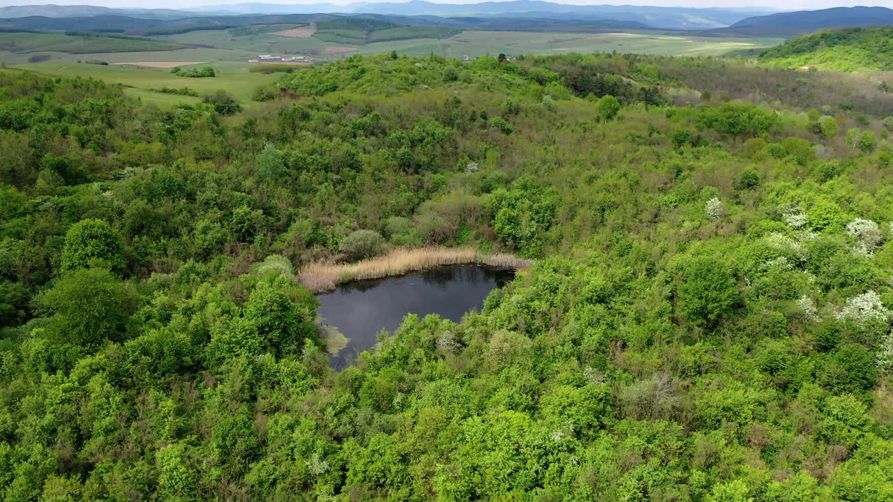 숲속의 작은 호수