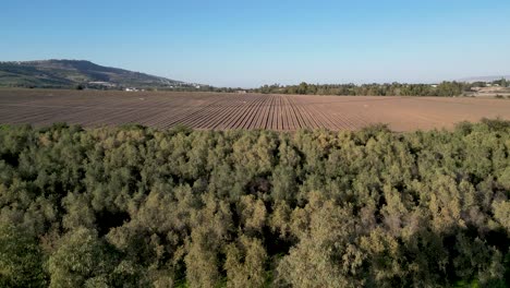 Verde-Latigazo-Durante-El-Invierno--El-Río-Jordan--Bautizo-Yardenit-Sitio-Cristiano-Sagrado--Turismo-Religioso--Norte-De-Israel