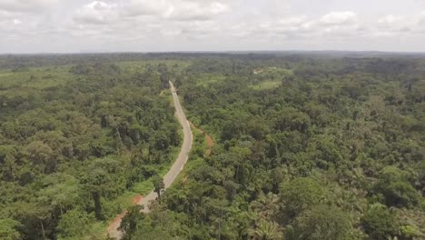 descripción general de la selva tropical africana