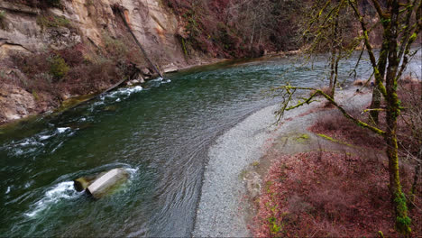 pacific northwest aerial stationary shot of fast flowing cedar river with moss tree and river bank in washington state