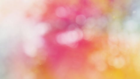 Abstract forest bokeh motion background