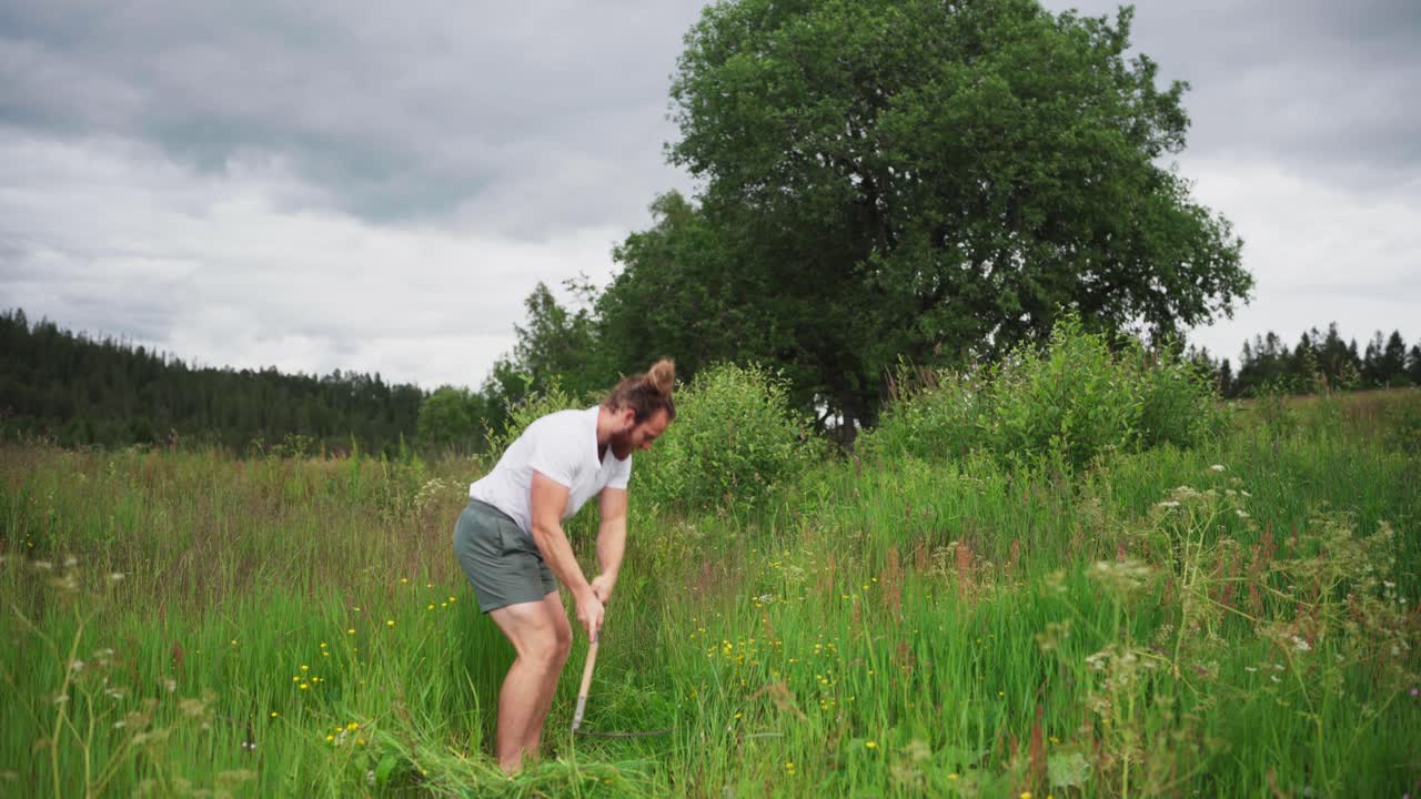 Man Cutting Reeds On The Field With Sickle