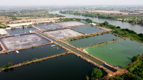 Die-Landschaft-Der-Aquakultur-Umweltlandwirtschaftsfarm