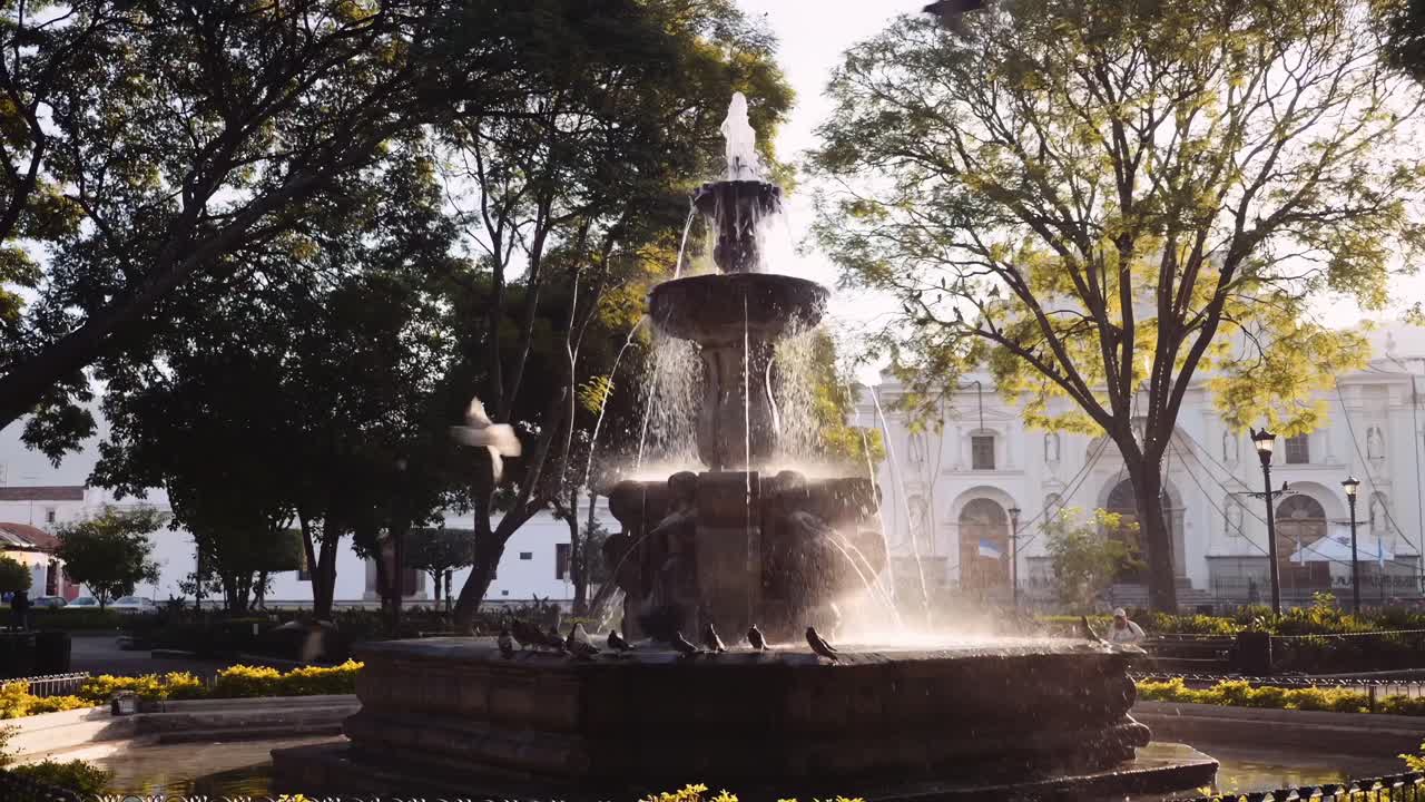 una gran bandada de palomas vuela junto a una fuente de sirenas en el parque central de antigua guatemala al atardecer, mientras que algunas palomas más se relajan al borde del agua
