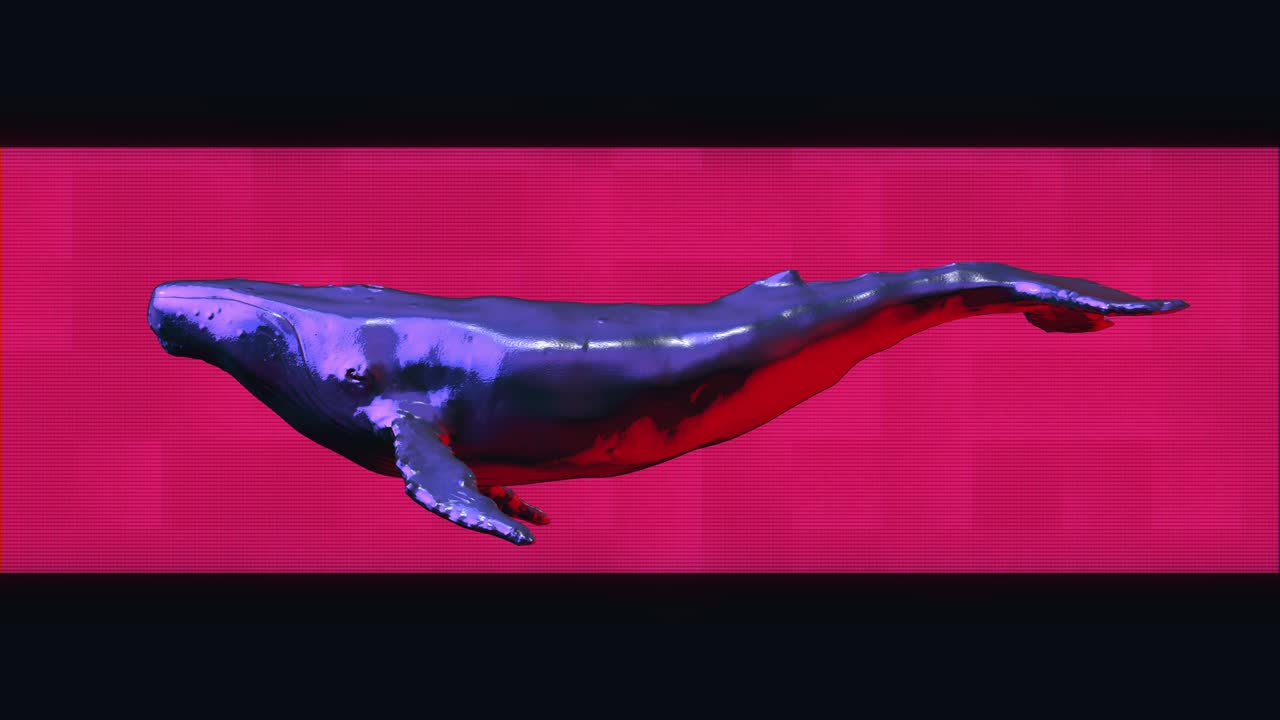 배경에 홀로그램 모양의 추상적인 크롬 금속 수영 고래, 현대적인 밝은 패션, 3d 애니메이션, 기술적 디지털, 생생한 동물 개념, 창의적인 레트로, 미래의 모션 아트.