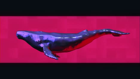 abstract chrome metal swimming whale with hologram shape on background. modern bright fashion 3d animation. technological digital vivid animal concept. creative retro futuristic motion art.