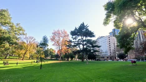 a serene park scene with sunlight and trees