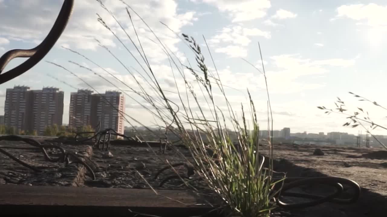 Abandoned Rooftop with Rusty Pipes and Grass