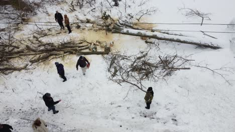 vista de drones de un árbol cortado cerca de la línea eléctrica en un invierno nevado