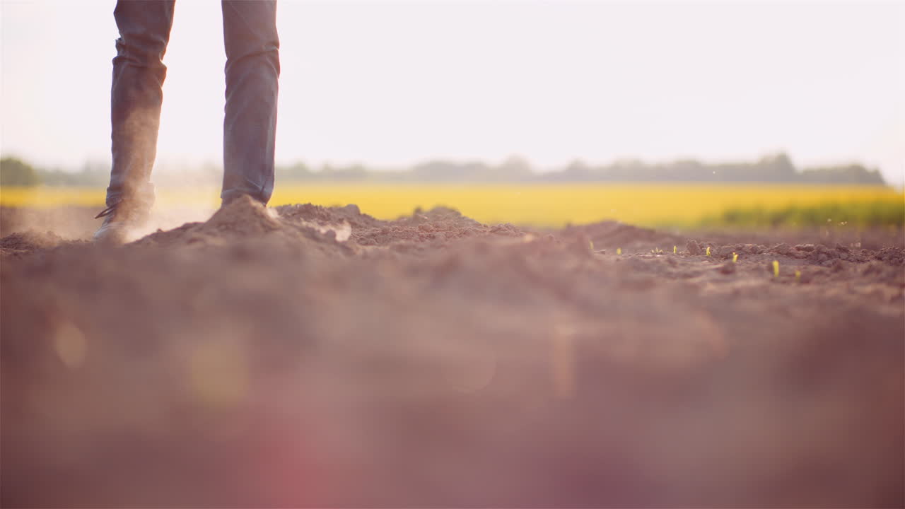 토양 농업 농부 손을 잡고 농장 2에서 흙을 만지는 유기 토양 농부를 다시 붓는