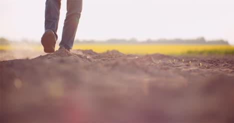 Bodenlandwirtschaft-Landwirthände,-Die-Organischen-Bodenbauer-Halten-Und-Zurückgießen,-Der-Schmutz-Auf-Der-Farm-Berührt-2