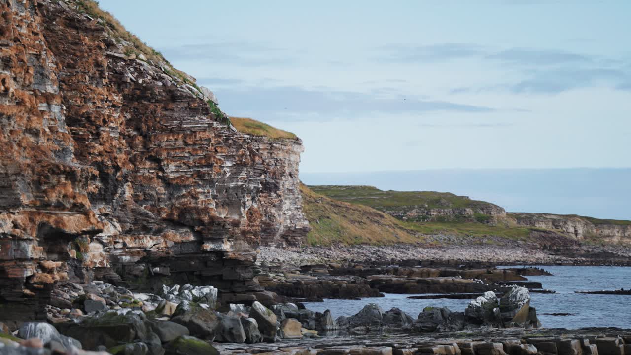 un conocido lugar de observación de aves en el norte de noruega