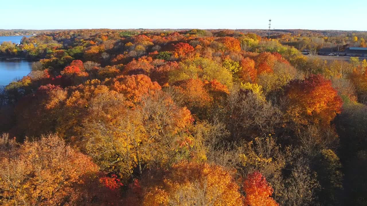Aerial shot of the forests outside the city of minnesota with the orange and yellow colors of autumn.