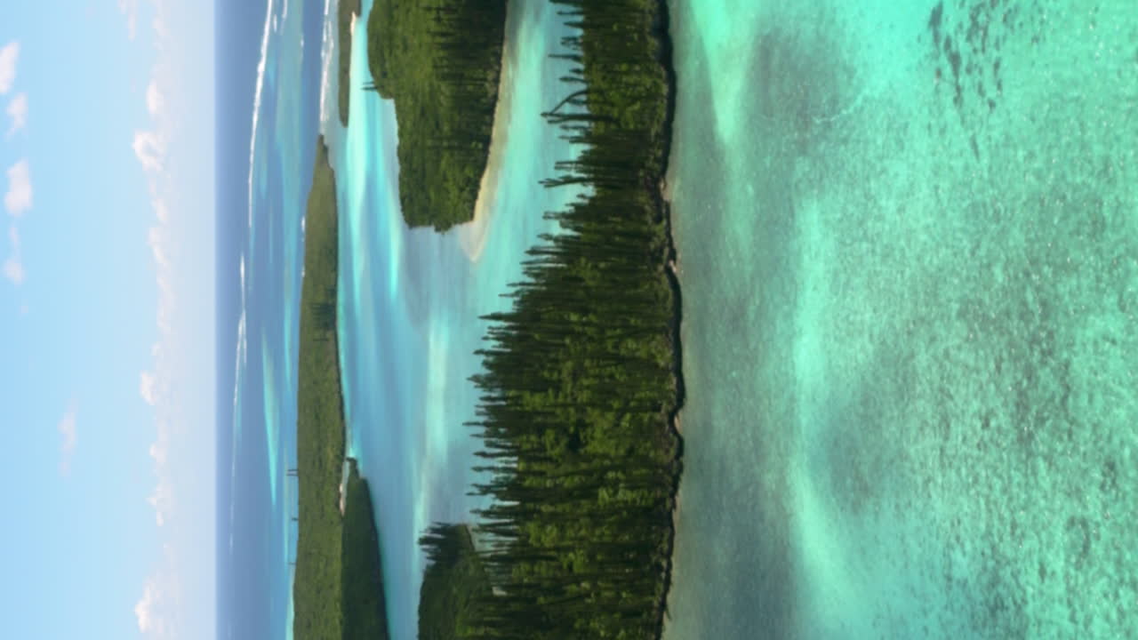 Veduta aerea verticale sopra pini colonnari su un'isola nella Baia di Oro, Nuova Caledonia.