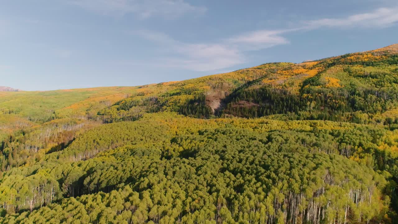 álamos tembloses girando en kebler pass, colorado