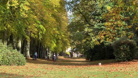 distant people walking, strolling through tree lined parkland with fallen leaves and short grass on an autumn morning