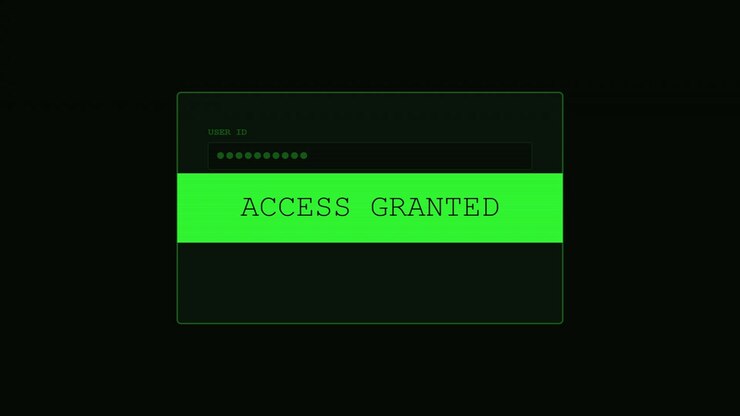 Digital Login Interface Showing Access Granted Message