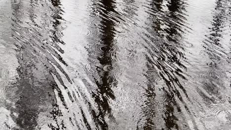 abstract footage of reflection on water in puddle at rainy weather, reflective surface the water, micro waves, water texture, nobody