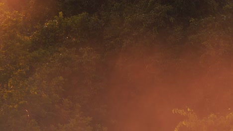 a dreamy sunset mist floats over tambopata reserve’s rainforest, drenched in radiant evening tones.