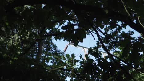 View-of-a-Pylon-Through-an-Opening-in-the-Trees