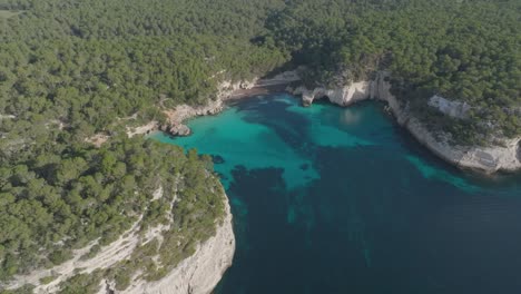 cala mitjana turquoise beach bay, aerial tops down forested cliffs environment in menorca spain