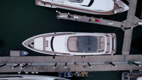 aerial view of luxury yachts and sailboats in marina