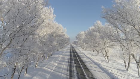 snow covered road