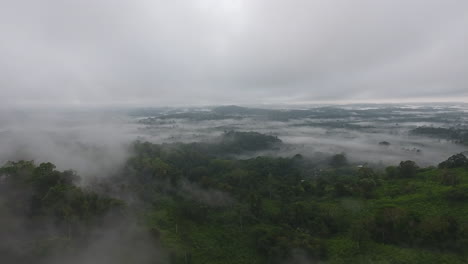 drone flight in clouds over a primary tropical rainforest, foggy and mystic saül