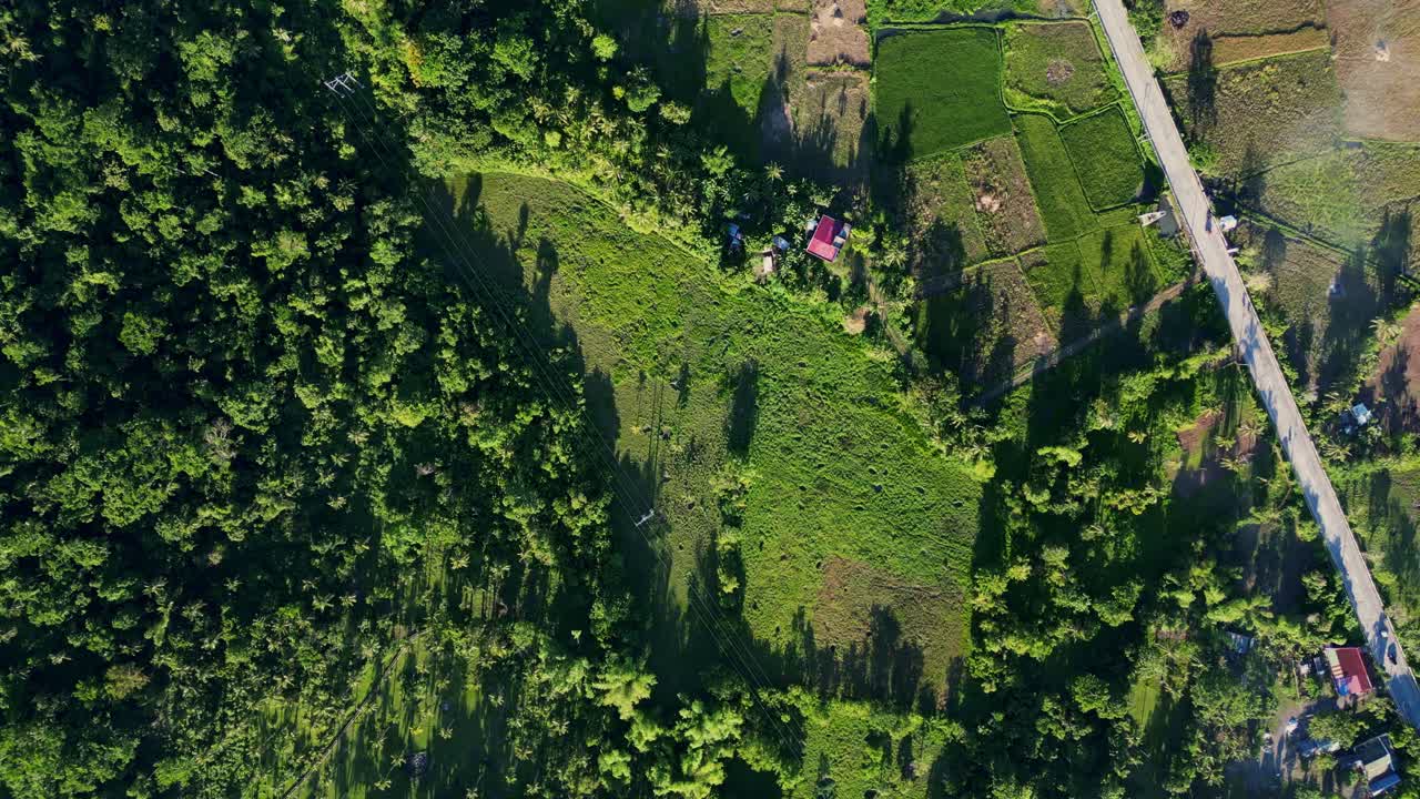 Bird's eye view of lush tropical greenery and rice paddies along countryside road at barangay village Timbaan, San Andres, Catanduanes, Philippines.