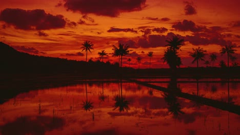 cinemagrafía 4k uhd de gotas de lluvia cayendo en el agua quieta debajo de un cielo rojo al atardecer en una isla en indonesia