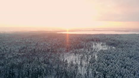 Luftaufnahmen-Vom-Flug-Zwischen-Wunderschönen-Verschneiten-Bäumen-Mitten-In-Der-Wildnis-In-Lappland,-Finnland.