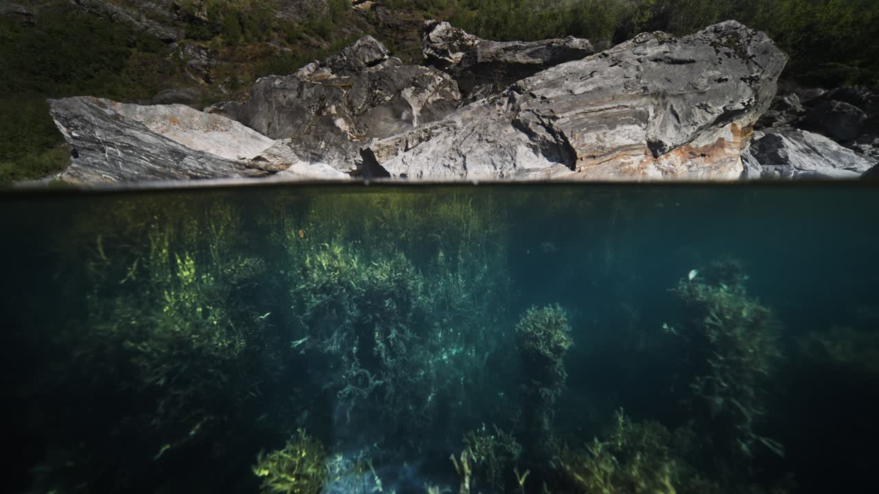A scenic split view shows rocky cliffs along the Geiranger Fjord shoreline and flourishing underwater vegetation.