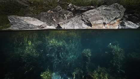 a scenic split view shows rocky cliffs along the geiranger fjord shoreline and flourishing underwater vegetation.