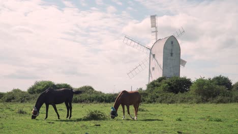 2-Pferde-Vor-Einer-Weißen-Windmühle-In-Südengland