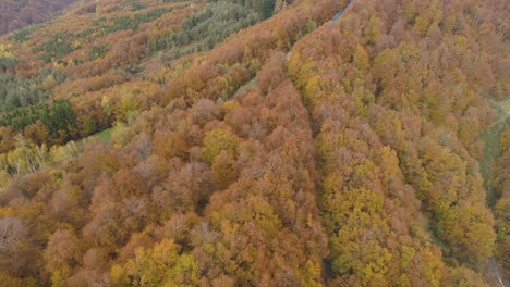 aerial footage, long road in the middle of the balkans woods during the autumn, bulgaria