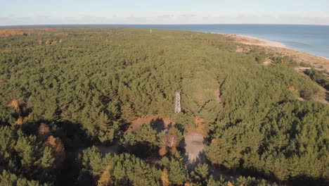 Luftaufnahme-Einer-Drohne,-Die-über-Einen-Wald-In-Hel,-Polen-Fliegt